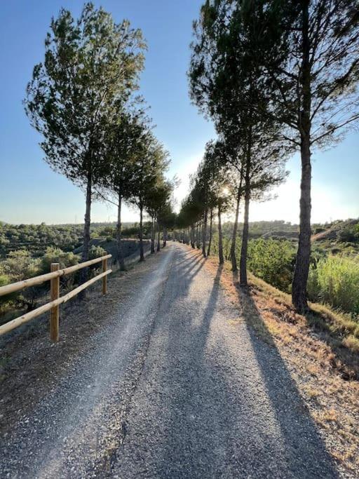 Apto. Rural Cielo. Al Lado Torre Jérica Exteriér fotografie